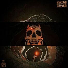 Album cover of Thornhill - In My Skin (Saltee Remix)