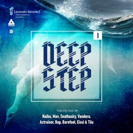 Album cover of Deepstep .01 LP