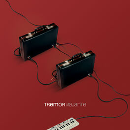 Album cover of Viajante