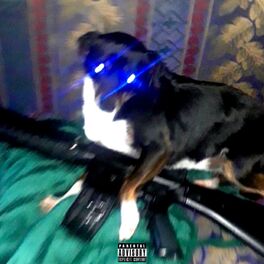 Album cover of Sick Little Dog!