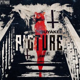 Album cover of Picture