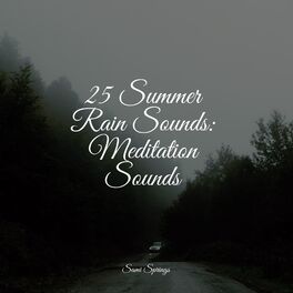 Album cover of 25 Summer Rain Sounds: Meditation Sounds