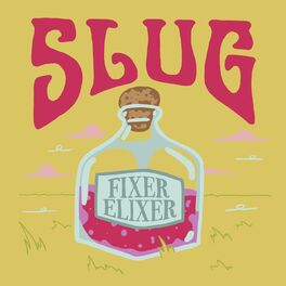 Album cover of Fixer Elixer