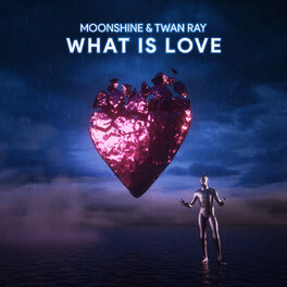 Album cover of What is Love