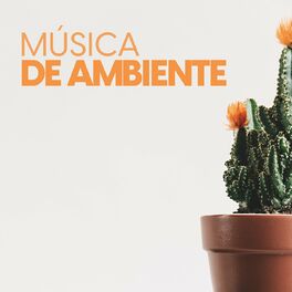 Album cover of Música de ambiente