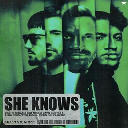 Album cover of She Knows (with Akon) (Piero Pirupa Remix)
