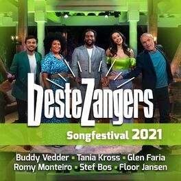 Album cover of Beste Zangers Songfestival 2021