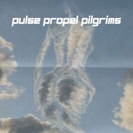 Album cover of Pulse Propel