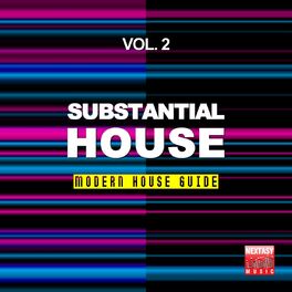 Album cover of Substantial House, Vol. 2 (Modern House Guide)