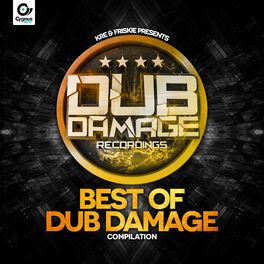 Album cover of Best Of Dub Damage