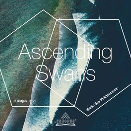 Album cover of Ascending Swans (dedicated to Denis Yakovlev)