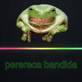 Album cover of Perereca Bandida