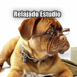 Album cover of Relajado Estudio