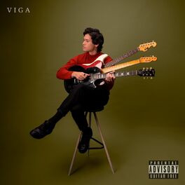 Album cover of VIGA