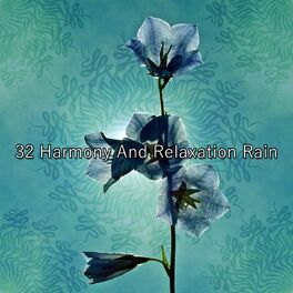 Album cover of 32 Harmony And Relaxation Rain