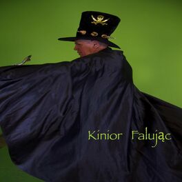 Album cover of Falując