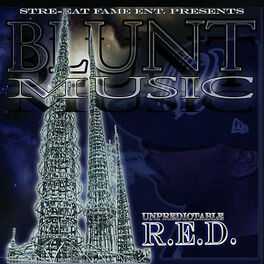 Album cover of Blunt Music