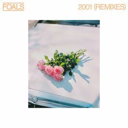 Album cover of 2001 (Remixes)