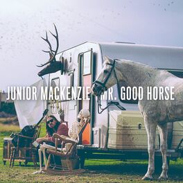 Album cover of Mr. Good Horse