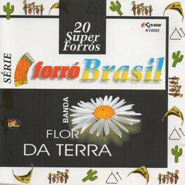 Album cover of Série Forró Brasil