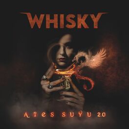 Album cover of Ateş Suyu 2.0