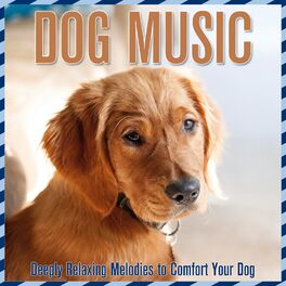 Album cover of Dog Music: Deeply Relaxing Melodies to Comfort Your Dog