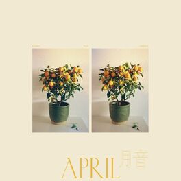 Album cover of April/月音