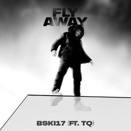 Album cover of Fly Away (feat. Tq)