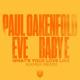 Album cover of What's Your Love Like (Kamer Remix)