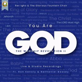 Album cover of You Are God: The Worship Revolution II