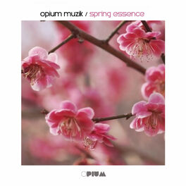 Album cover of Opium Muzik / Spring Essence