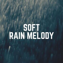 Album cover of Soft Rain Melody