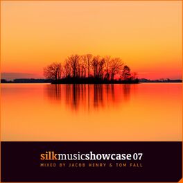 Album cover of Silk Music Showcase 07 (DJ Mix)