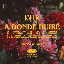 Album cover of A Donde Huiré (Sección Acustica)