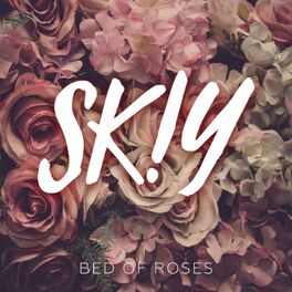 Album cover of Bed of Roses