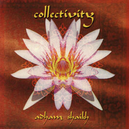 Album cover of Collectivity