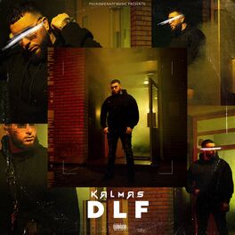 Album cover of DLF