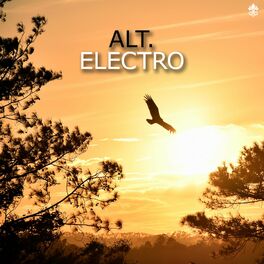 Album cover of Alt. Electro