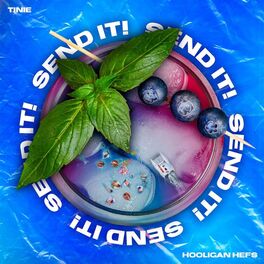 Album cover of SEND IT! (feat. Tinie Tempah) (Remix)