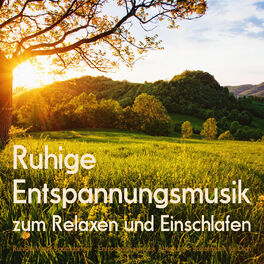 Album cover of Ruhige Entspannungsmusik zum Relaxen und Einschlafen