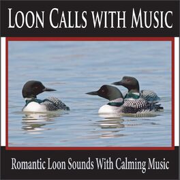 Robbins Island Music Group - Loon Calls with Music: Romantic Loon