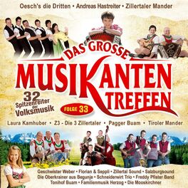 Album cover of Das große Musikantentreffen - Folge 33