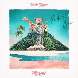Album cover of Rainforest Groove