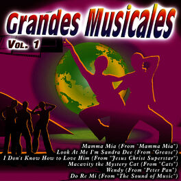 Album cover of Grandes Musicales Vol. 1