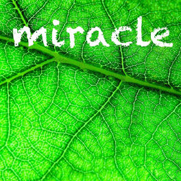 Album cover of Miracle