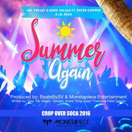 Album cover of Summer Again