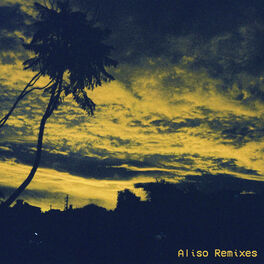 Album cover of Aliso (Remixes)