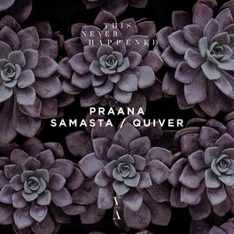 Album cover of Samasta / Quiver