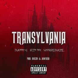Album cover of TRANSYLVANIA (feat. Danny G & worsedaze)