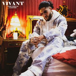 Album cover of Vivant (STONE WORLD 5)